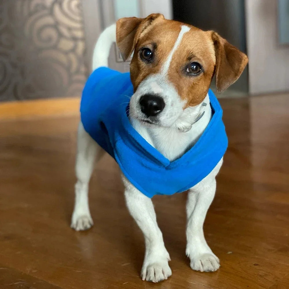 Sf2d60fabd2154ebfa638d82f711fa2f3m