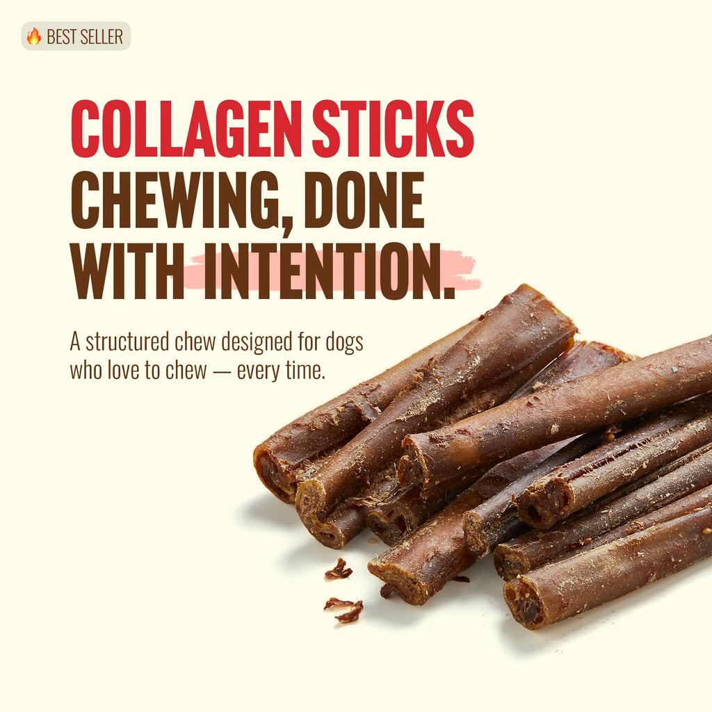 Natural Farm Gourmet Collagen Sticks - 4 Inch, 10 Count, 95% Collagen, Premium Beef, Long-Lasting Chew Treats for Dogs