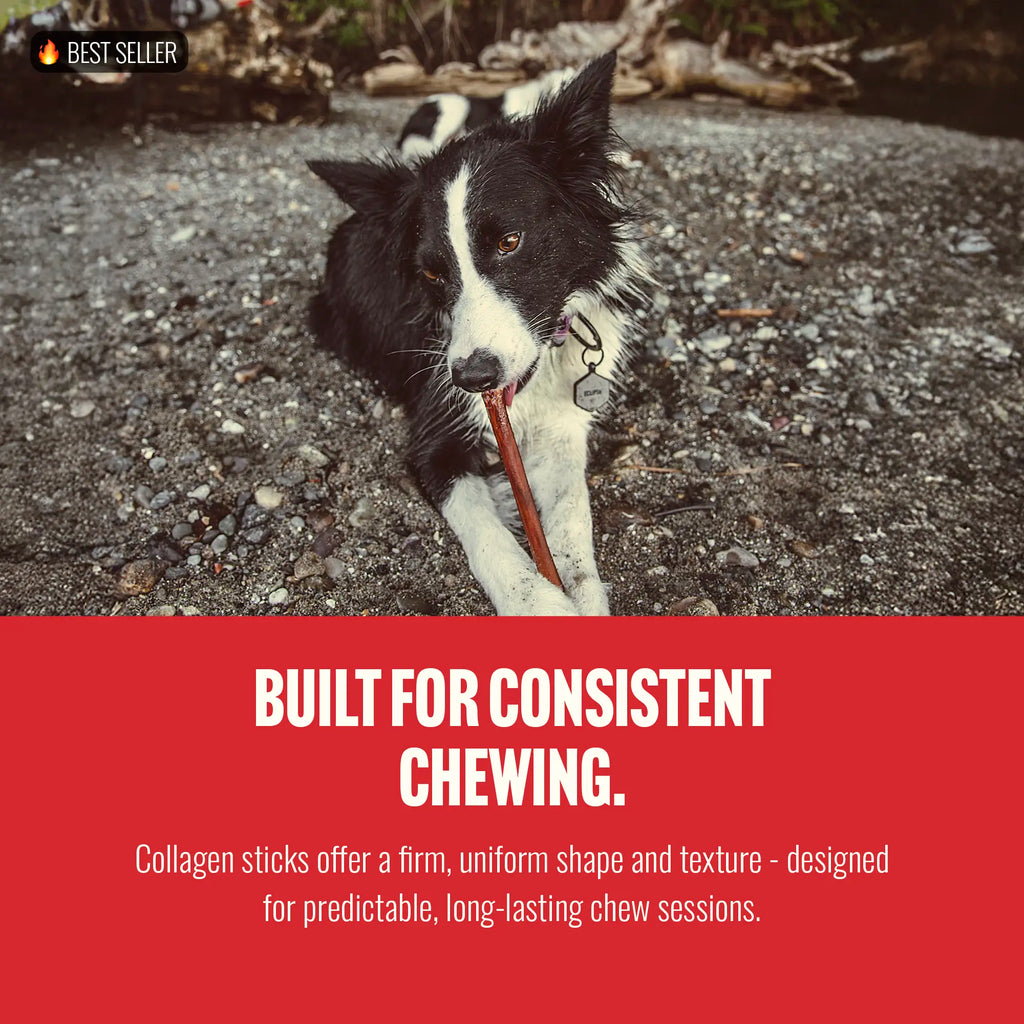 Natural Farm Gourmet Collagen Sticks - 4 Inch, 10 Count, 95% Collagen, Premium Beef, Long-Lasting Chew Treats for Dogs