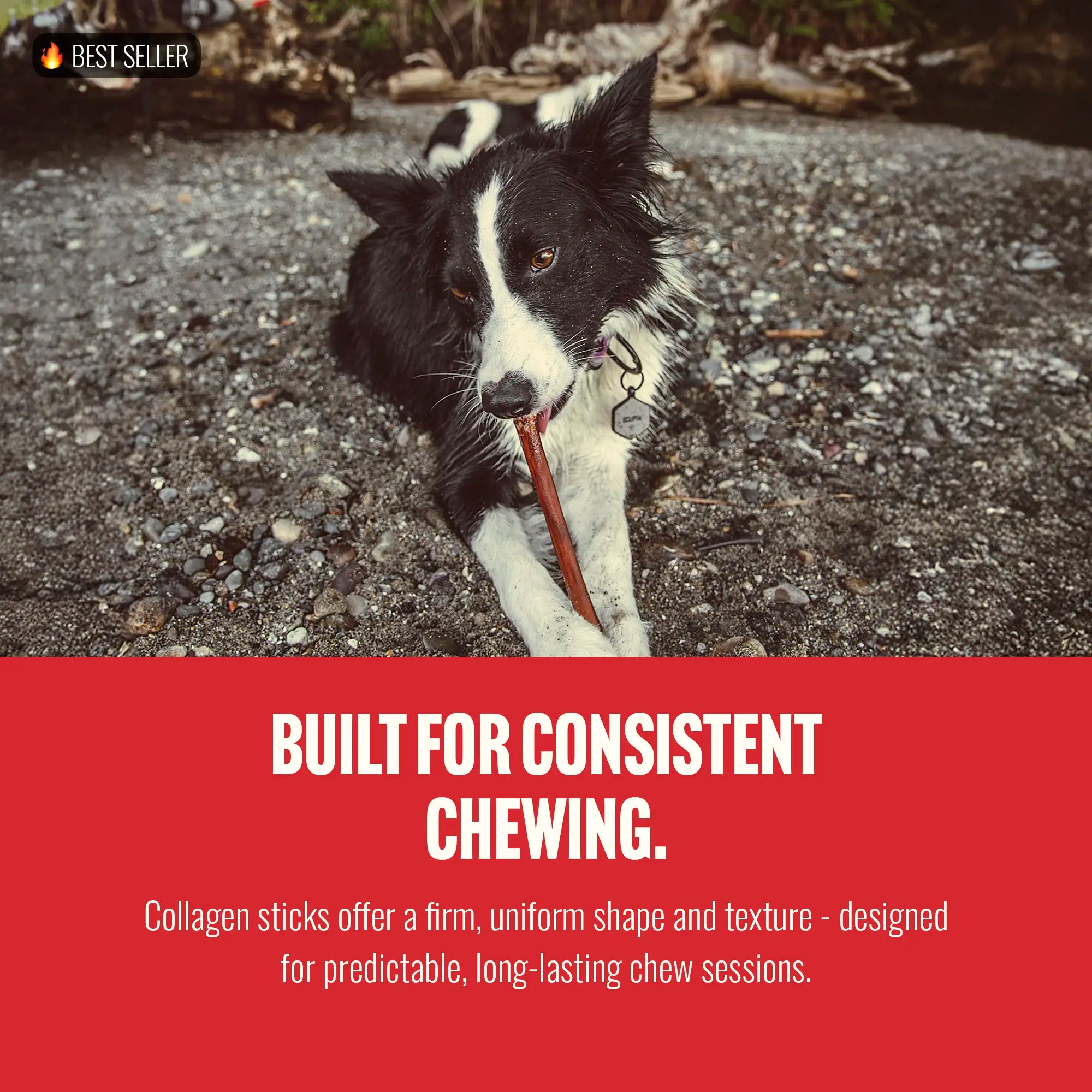 Natural Farm Gourmet Collagen Sticks - 4 Inch, 10 Count, 95% Collagen, Premium Beef, Long-Lasting Chew Treats for Dogs