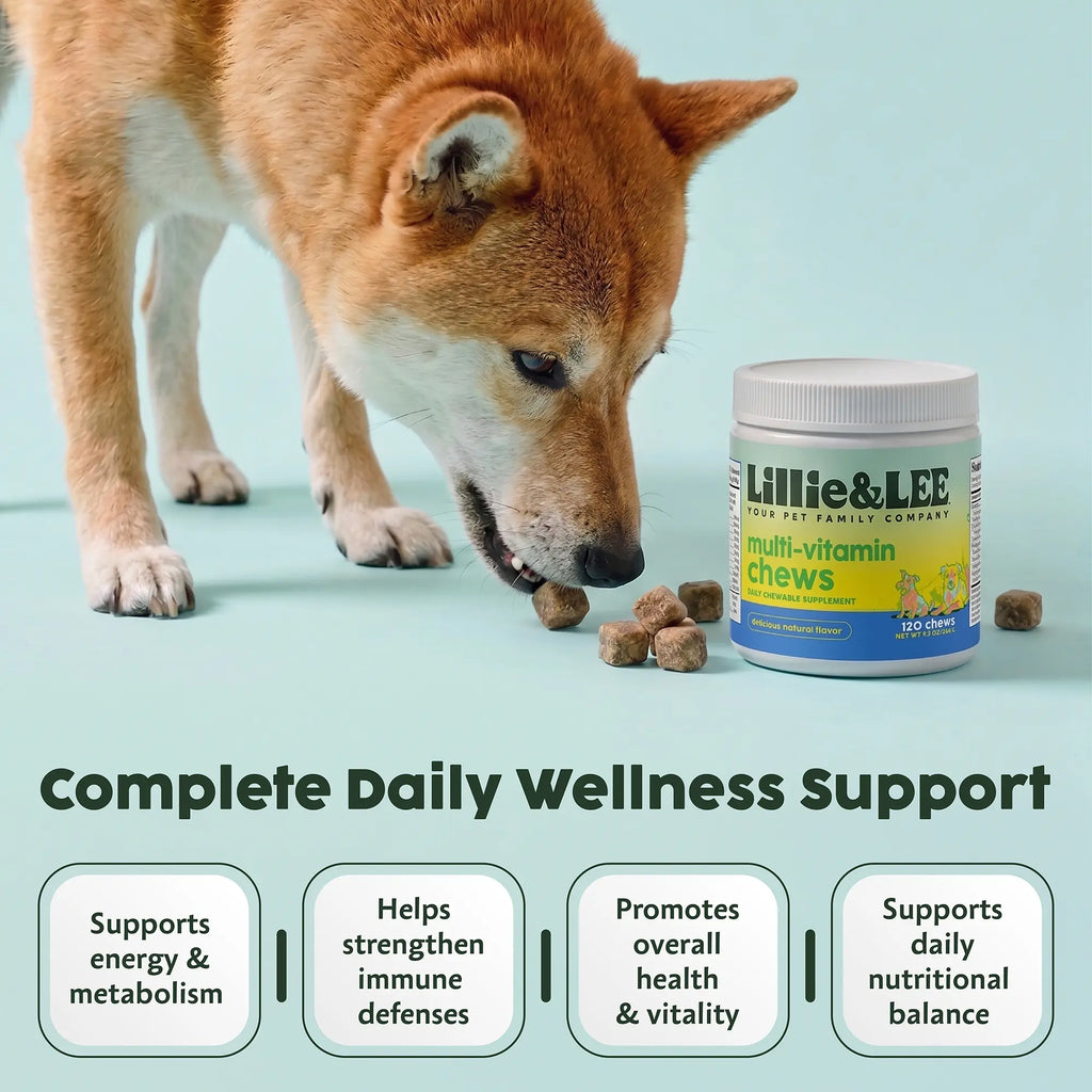 Multi-Vitamin Chews for Enhanced Energy and Immune Support